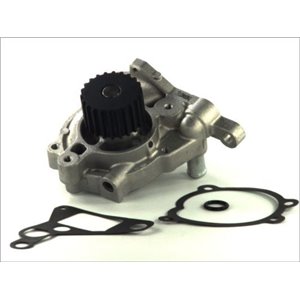 D13029TT Water Pump, engine cooling THERMOTEC - Top1autovaruosad