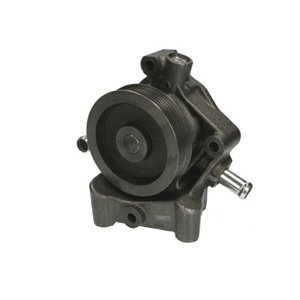 D1P047TT Vattenpump, motorkylning THERMOTEC - Top1autovaruosad