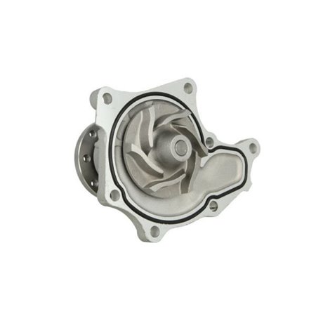 D19024TT Water Pump, engine cooling THERMOTEC