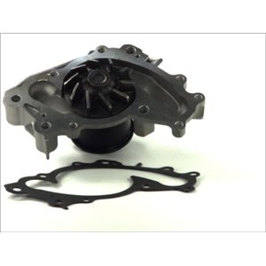 D12070TT Water Pump, engine cooling THERMOTEC - Top1autovaruosad