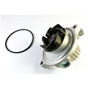 D1A016TT Water Pump, engine cooling THERMOTEC - Top1autovaruosad