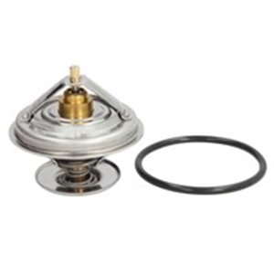 4105.71D Thermostat, coolant BorgWarner (Wahler) - Top1autovaruosad