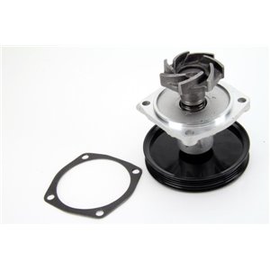 D1H015TT Water Pump, engine cooling THERMOTEC - Top1autovaruosad