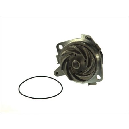 D1D018TT Water Pump, engine cooling THERMOTEC