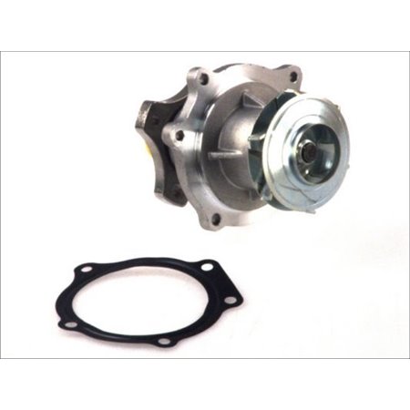 D1Y033TT Water Pump, engine cooling THERMOTEC