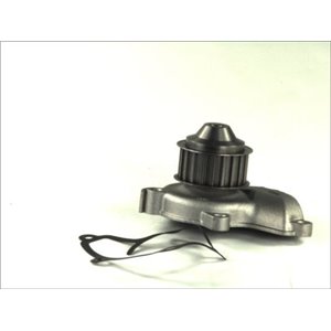 D11028TT Water Pump, engine cooling THERMOTEC - Top1autovaruosad