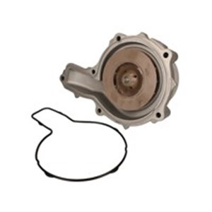 DOLZ R612 - Water pump  with pulley  148m - Top1autovaruosad
