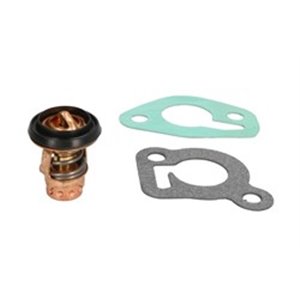 18-43052 Cooling system thermostat (49 °C, 120 °F) 6 25HP 2cyl