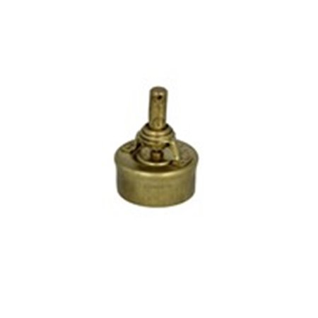 3029.86 Thermostat, coolant BorgWarner (Wahler)