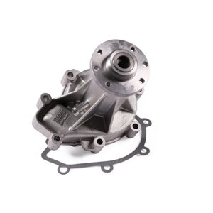 P176 Water Pump, engine cooling HEPU - Top1autovaruosad