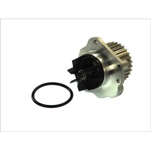 D1P044TT Water Pump, engine cooling THERMOTEC - Top1autovaruosad