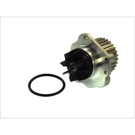 D1P044TT Water Pump, engine cooling THERMOTEC