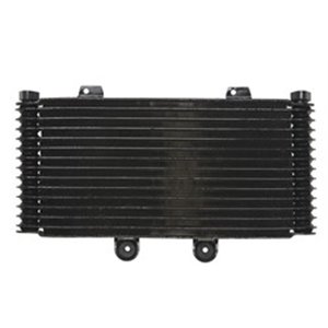 RAD-555 Oil radiator fits  SUZUKI GSF 120 - Top1autovaruosad