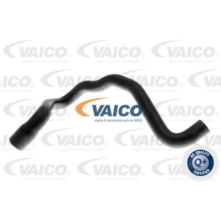 VAICO V10-2810 - Cooling system rubber hose front fits: AUDI A4 B5 VW PASSAT B5 1.6-1.9DH 11.94-09.01