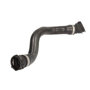 THERMOTEC DWB131TT - Cooling system rubber hose bottom fits: BMW 3 (E46) 2.0D 02.98-07.06