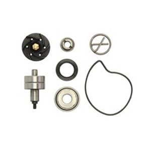 RMS 10 011 0210 Water pump repair kit fit - Top1autovaruosad