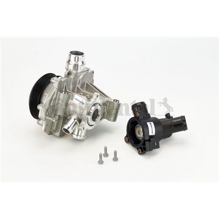 WPS3027 Water Pump, engine cooling CONTINENTAL CTAM