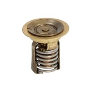 18-3550 Cooling system thermostat  60 °C  - Top1autovaruosad