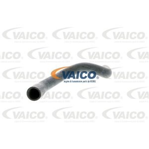VAICO V10-2733 - Cooling system rubber hose top fits: AUDI A3; SEAT ALTEA, ALTEA XL, LEON, TOLEDO III; SKODA OCTAVIA II; VW CADD