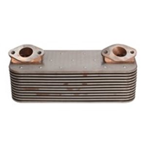 NRF 31177 - Oil cooler (250x100x68mm, number of ribs: 12) fits: MERCEDES ACTROS, ACTROS MP2 / MP3 OM541.920-OM542.969 04.96-