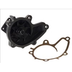 WPN-009 Water Pump, engine cooling AISIN - Top1autovaruosad