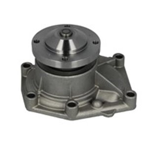 E113 Vattenpump, motorkylning DOLZ - Top1autovaruosad