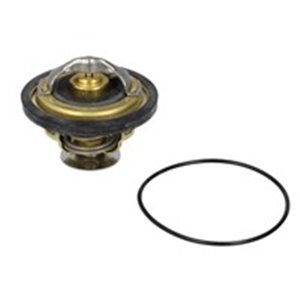 WAHLER 4174.79D - Cooling system thermostat (79°C) fits: IVECO DAILY I, DAILY II, DAILY III, M; RVI MASCOTT, MESSENGER; FIAT DUC