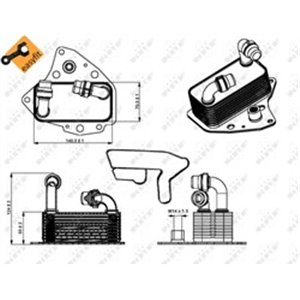 31343 Õliradiaator,mootoriõli NRF - Top1autovaruosad