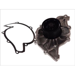 D1W047TT Water Pump, engine cooling THERMOTEC - Top1autovaruosad