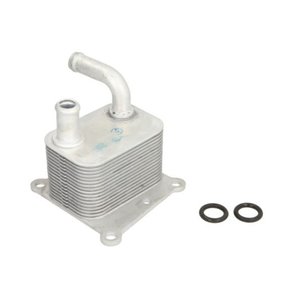 THERMOTEC D4G011TT - Oil cooler fits: FORD FOCUS I, S-MAX, TOURNEO CONNECT, TRANSIT CONNECT 1.8D 08.98-12.14