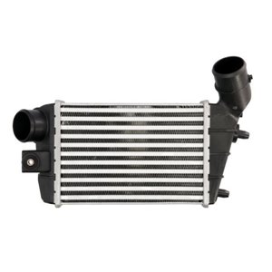 DAD003TT Charge Air Cooler THERMOTEC - Top1autovaruosad