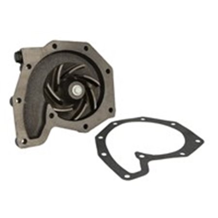 D217 Water Pump, engine cooling DOLZ