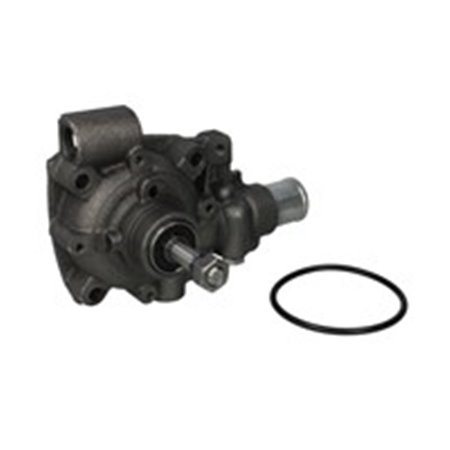 B114 Water Pump, engine cooling DOLZ