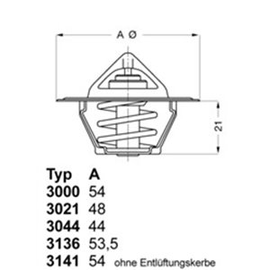 3000.75 Termostaat,Jahutusvedelik BorgWarner (Wahler) - Top1autovaruosad