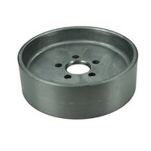 AUG57325 Water pump pulley  outer diamete - Top1autovaruosad