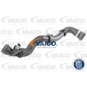 VAICO V10-4767 - Cooling system rubber hose bottom fits: AUDI TT; SEAT LEON; VW BEETLE, EOS, GOLF V, GOLF VI, JETTA III, JETTA I