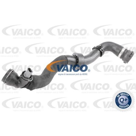 VAICO V10-4767 - Kylsystem gummislang botten passar: AUDI TT SEAT LEON VW BEETLE, EOS, GOLF V, GOLF VI, JETTA III, JETTA I