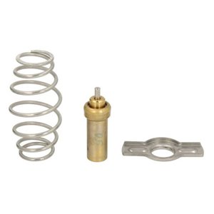 D2IV008TT Cooling system thermostat (84°C, with gasket, repair kit) EURO 6 