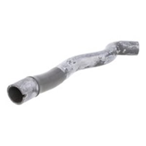 3406178 Radiator Hose SASIC - Top1autovaruosad