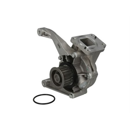 D1Y076TT Water Pump, engine cooling THERMOTEC