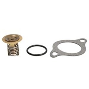 18-3676 Cooling system thermostat  60 °C  - Top1autovaruosad