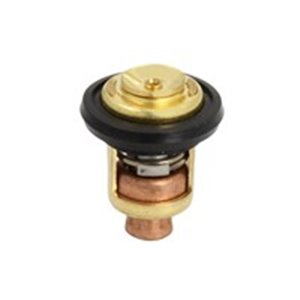 F15-07000031 Cooling system thermostat - Top1autovaruosad