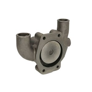 WP-CA112 Water Pump, engine cooling THERMOTEC - Top1autovaruosad