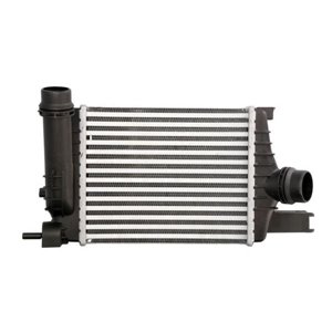 DAR017TT Charge Air Cooler THERMOTEC - Top1autovaruosad