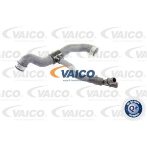 V30-2231 Radiator Hose VAICO - Top1autovaruosad