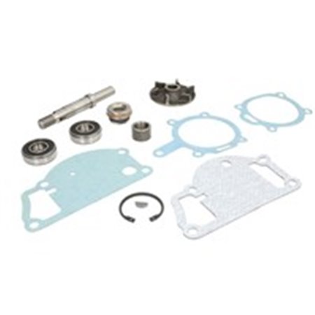 OMP 322.183 - Coolant pump repair kit fits: CASE IH 475