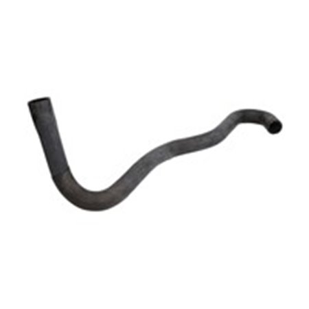 3404170 Radiator Hose SASIC