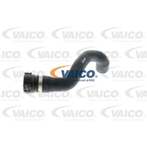 VAICO V20-1774 - Cooling system rubber hose bottom fits: BMW Z3 (E36) 2.0-3.0 11.96-06.03