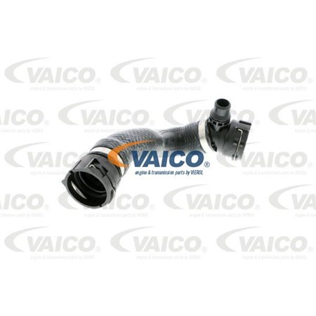 V20-2384 Radiator Hose VAICO