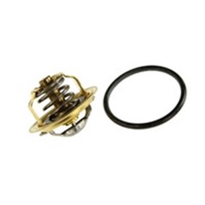 410537.92D Thermostat, coolant BorgWarner (Wahler) - Top1autovaruosad